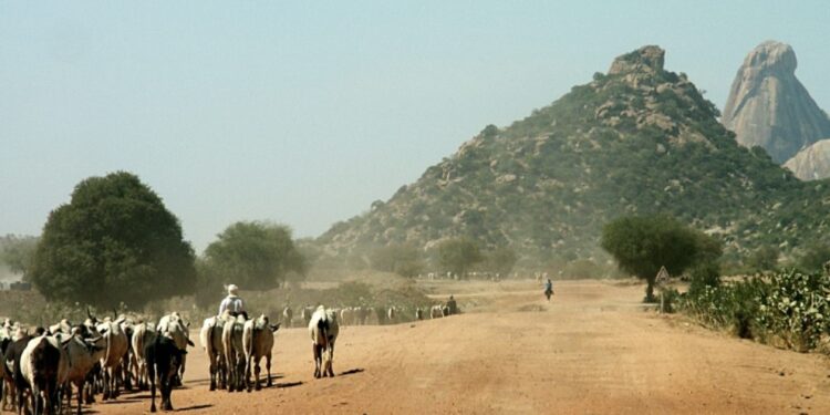Guera: Vive tension à Abtouyour suite à un conflit intercommunautaire