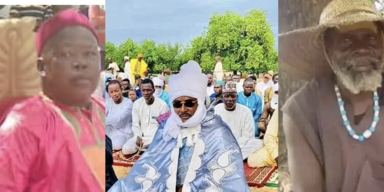Tchad: 3 trois autorités élevées au rang de Sultan.