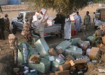 Tchad : Une importante quantité de produits prohibés incinérée