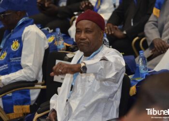 Tchad: Le SG du MPS désigne les différents membres du BPN