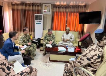 Tchad: Une délégation hongroise échange avec le Ministre de la défense