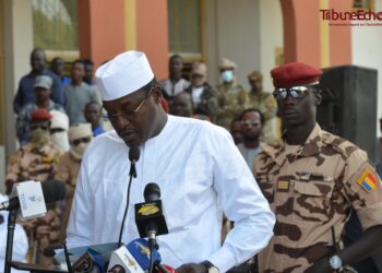 Tchad: Ousmane Brahim Djouma entend professionnaliser les douanes pour maximiser les recettes 