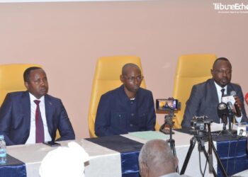 Tchad : L&rsquo;ANVOL-T prépare le déploiement de la deuxième cohorte de volontaires nationaux