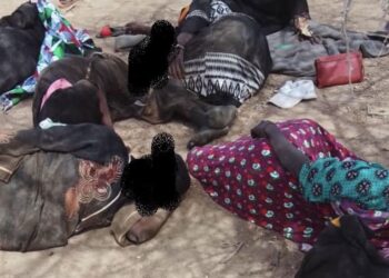 Tchad: Le comité d&rsquo;organisation du Festival Dary exprime sa compassion à la délégation du Sila suite à leur accident