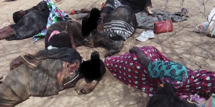 Tchad: Le comité d&rsquo;organisation du Festival Dary exprime sa compassion à la délégation du Sila suite à leur accident