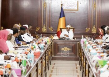 Tchad: Sept projets de loi examinés et adoptés lors d&rsquo;un conseil extraordinaire des ministres