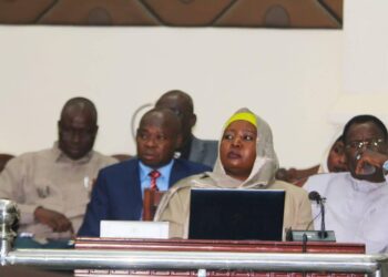 Tchad: Les CNT adoptent avec 162 voix le projet de loi portant attributions, organisation et fonctionnement du Conseil Constitutionnel