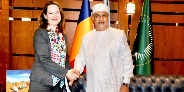 Le #Tchad adhère à une nouvelle stratégie de protection des migrants.