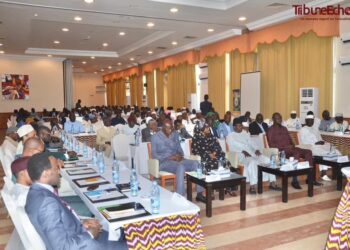 Tchad: L&rsquo;ITRAD trace sa voie pour une agriculture tchadienne plus performante et durable