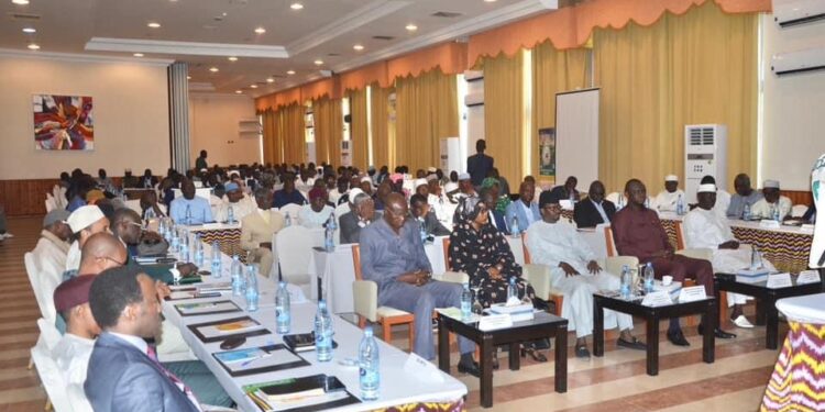 Tchad: L&rsquo;ITRAD trace sa voie pour une agriculture tchadienne plus performante et durable