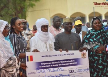 Mongo: Une délégation gouvernementale échange avec les femmes du Guera