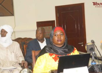 Tchad: Le projet de loi portant ratification de l&rsquo;Ordonnance sur le Médiateur de la République adopté