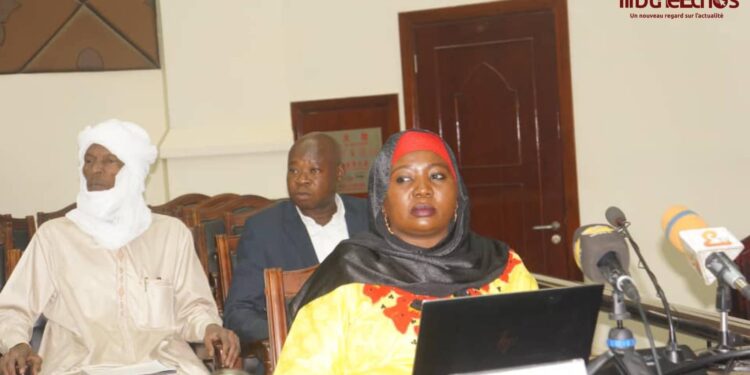 Tchad: Le projet de loi portant ratification de l&rsquo;Ordonnance sur le Médiateur de la République adopté