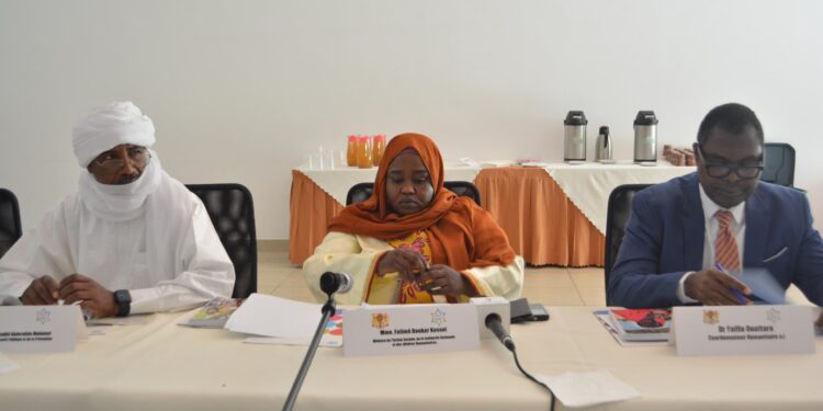 Tchad : la Ministre en charge des affaires humanitaires échange avec les partenaires sur la situation humanitaire du Lac
