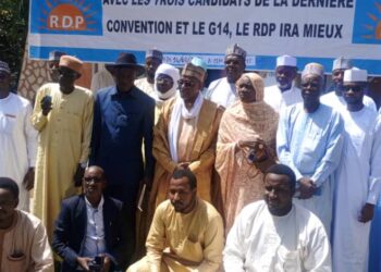 Tchad : Les trois candidats à la présidence de la RDP se félicite de la décision de la cour suprême.