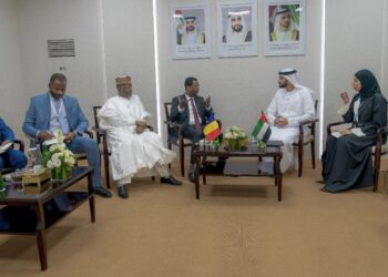 Coopération : le Ministre tchadien de la culture échange avec son collègue émirati