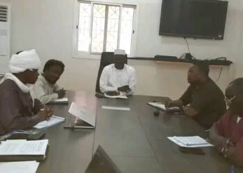 Tchad : La réforme de l&rsquo;EFTP au cœur d&rsquo;une rencontre entre le ministre de la formation professionnelle et des experts en la matière