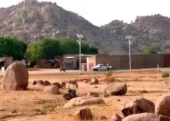 Guera: Une famille de 3 personnes massacrée à Djondjol dans le département de Mangalmé