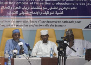 Tchad: La problématique de l’emploi et l&rsquo;insertion professionnelle des jeunes a fait l&rsquo;objet d&rsquo;une rencontre de concertation