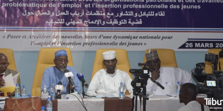 Tchad: La problématique de l’emploi et l&rsquo;insertion professionnelle des jeunes a fait l&rsquo;objet d&rsquo;une rencontre de concertation