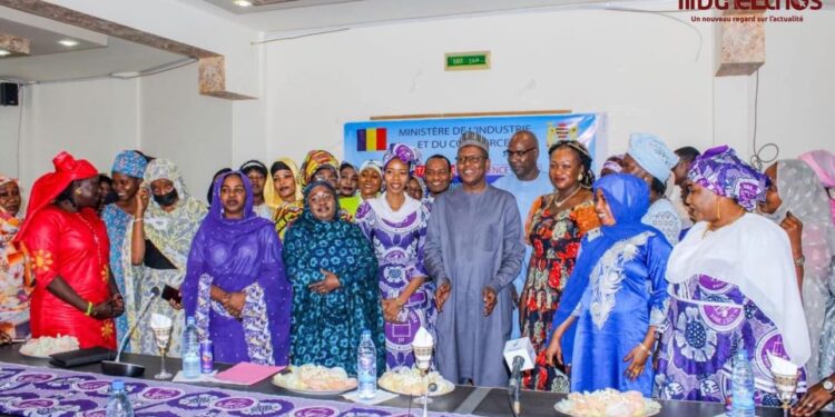 Tchad : Les femmes du ministère de l&rsquo;industrie et du commerce lancent les activités de la SENAFET.