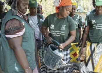 Sénégal : « Nous sommes la Solution » une ONG pour l&rsquo;accès des femmes à la terre