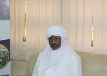 Tchad : Le ministre de la santé publique échange avec les responsables des écoles de santé