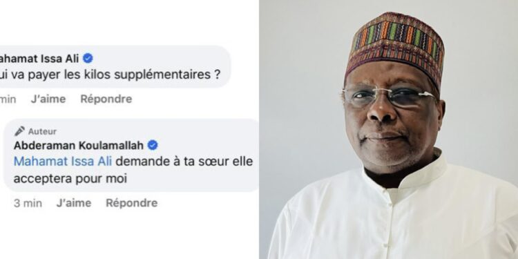 Tchad: Le bon usage des réseaux sociaux, une pratique qui échappe à certaines autorités