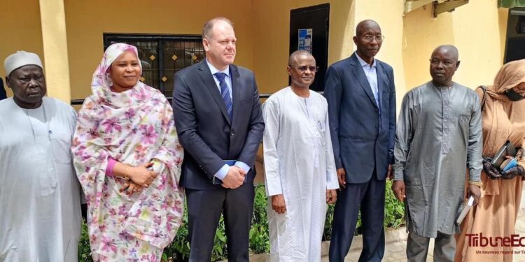 Tchad : Le gouvernement octroie 16,2 milliards FCFA pour booster la production du Coton.