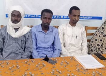 Tchad : La plateforme des associations et de l&rsquo;ONG la voix des jeunes lance ses activités