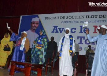 Tchad : Le bureau de soutien au MPS Îlot de Stabilité lance officiellement ses activités