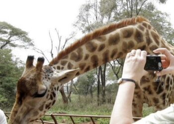 Kenya : quel impact de l&rsquo;accès sans visa sur le tourisme ?