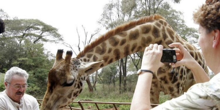 Kenya : quel impact de l&rsquo;accès sans visa sur le tourisme ?