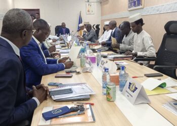 Tchad : L&rsquo;ADAC tient sa 31eme Conseil d&rsquo;administration.