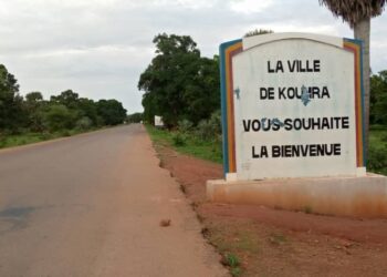 Tchad : 1 mort dans le Mandoul après consommation de viande de brousse 