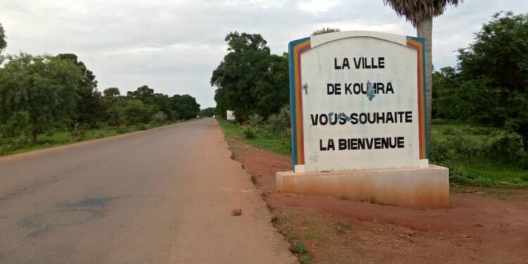Tchad : 1 mort dans le Mandoul après consommation de viande de brousse 