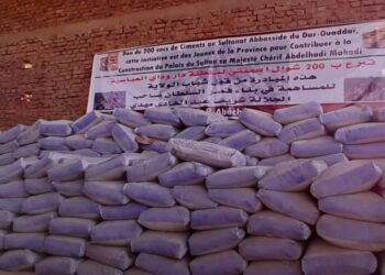 Abeché : Les jeunes offrent 200 sacs de ciment au Sultan de Dar Ouaddaï