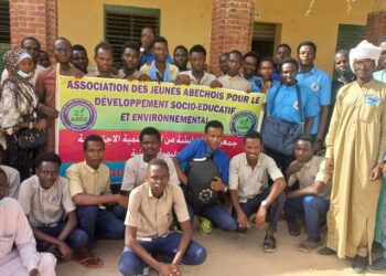 Abéché: L&rsquo;AJADES oriente les élèves en classe d&rsquo;examen