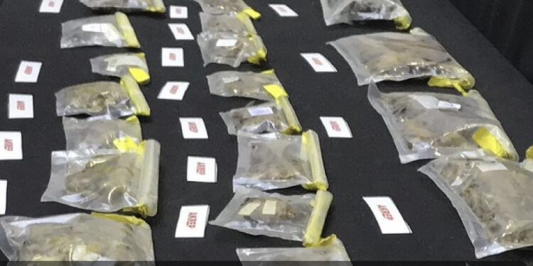 Turquie : un Américain arrêté avec 1 500 scorpions et araignées dans sa valise