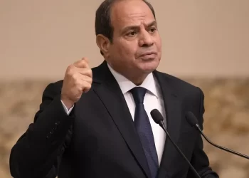 Égypte : un opposant d&rsquo;al-Sissi condamné à un an de prison