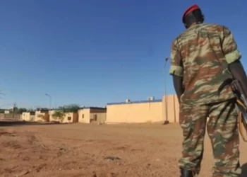 Niger, Mali, Burkina, Tchad et Togo mènent des exercices militaires conjoints