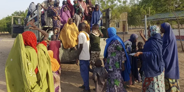 Nigeria : des centaines d&rsquo;otages sauvés d&rsquo;un camp de Boko Haram