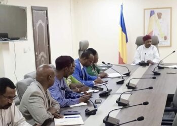 Tchad : Une délégation de MSF/France échange avec le ministre de la santé publique.