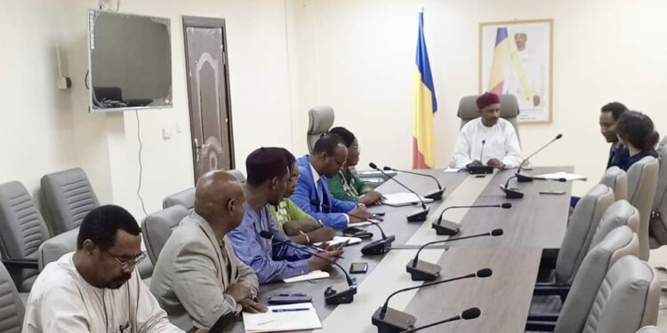 Tchad : Une délégation de MSF/France échange avec le ministre de la santé publique.