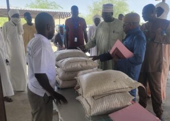 Bol: la Fédération des Producteurs de Semences du Lac Organise une Journée de Vulgarisation sur ses activités