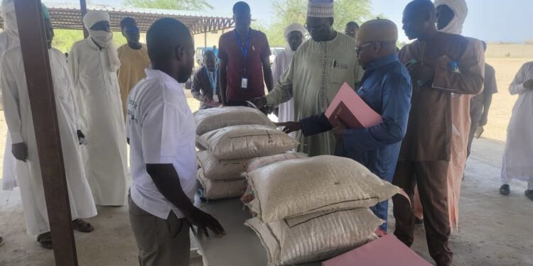 Bol: la Fédération des Producteurs de Semences du Lac Organise une Journée de Vulgarisation sur ses activités