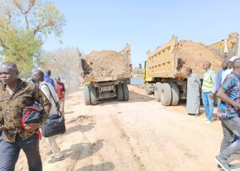 N&rsquo;djamena: Les chargements et déchargements des marchandises devant la SOTEL sont strictement interdits (Mairie)