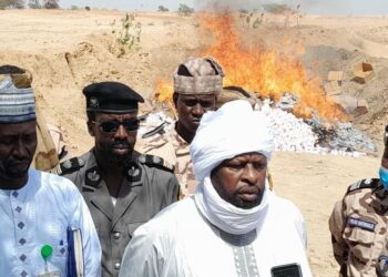 Abéché : Une importante quantité de drogue estimée à plus de 9 milliards incinérée par les autorités