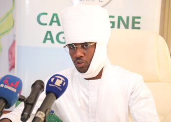 Tchad : l&rsquo;ONAPE octroie 1,16 milliards de FCFA à la zone Méridionale à titre de crédit agricole.