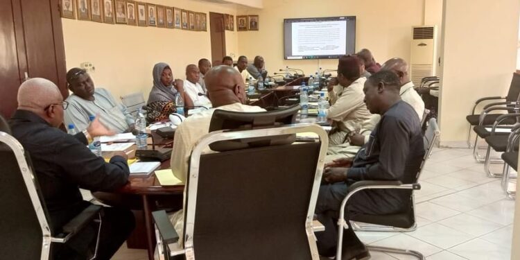 Tchad: La question de la santé dans les prisons au centre d&rsquo;une réunion des membres du COPSAP